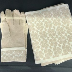 Cream & Gold Coach Scarf and Gloves Set